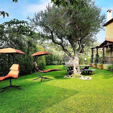 Vintage Home Nikiti  Dış mekan fotoğraf