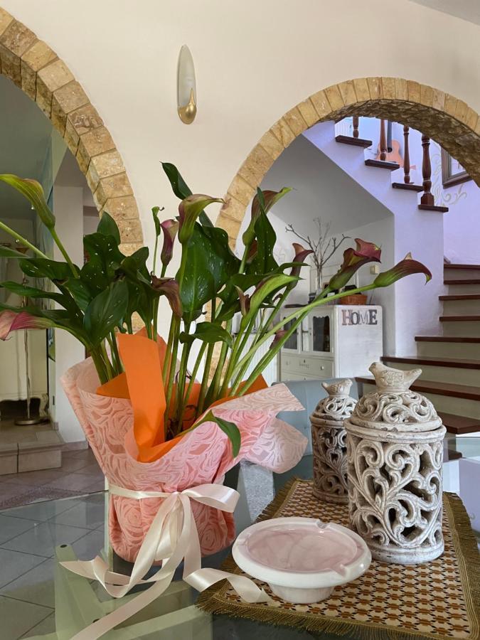 Vintage Home Nikiti  Dış mekan fotoğraf