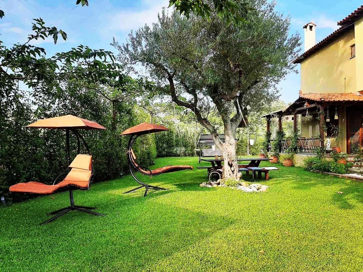 Vintage Home Nikiti  Dış mekan fotoğraf